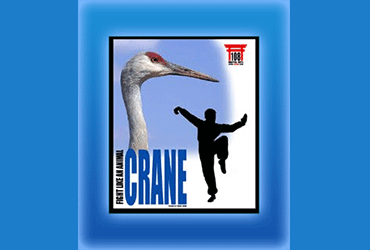 /uploaded\images\Crane style